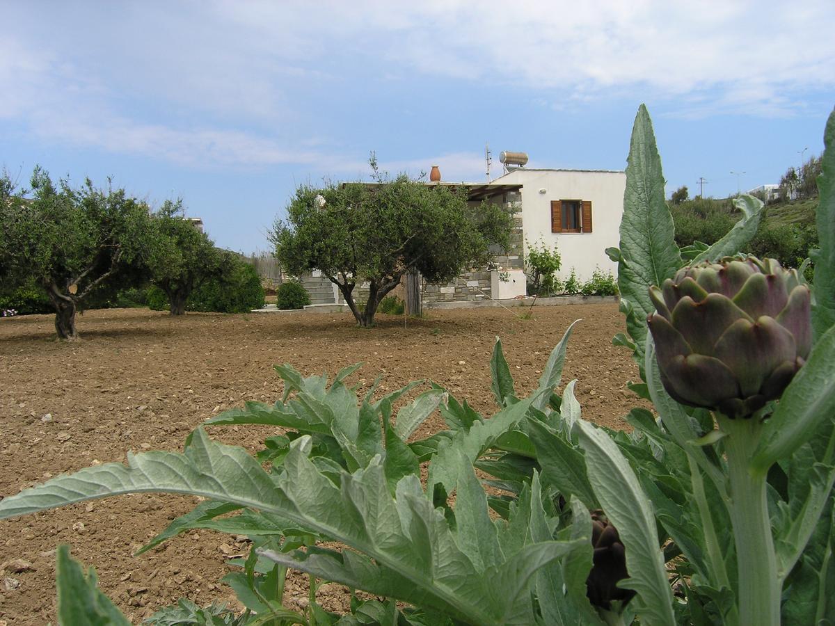 Marcello Country Houses Páros Dış mekan fotoğraf